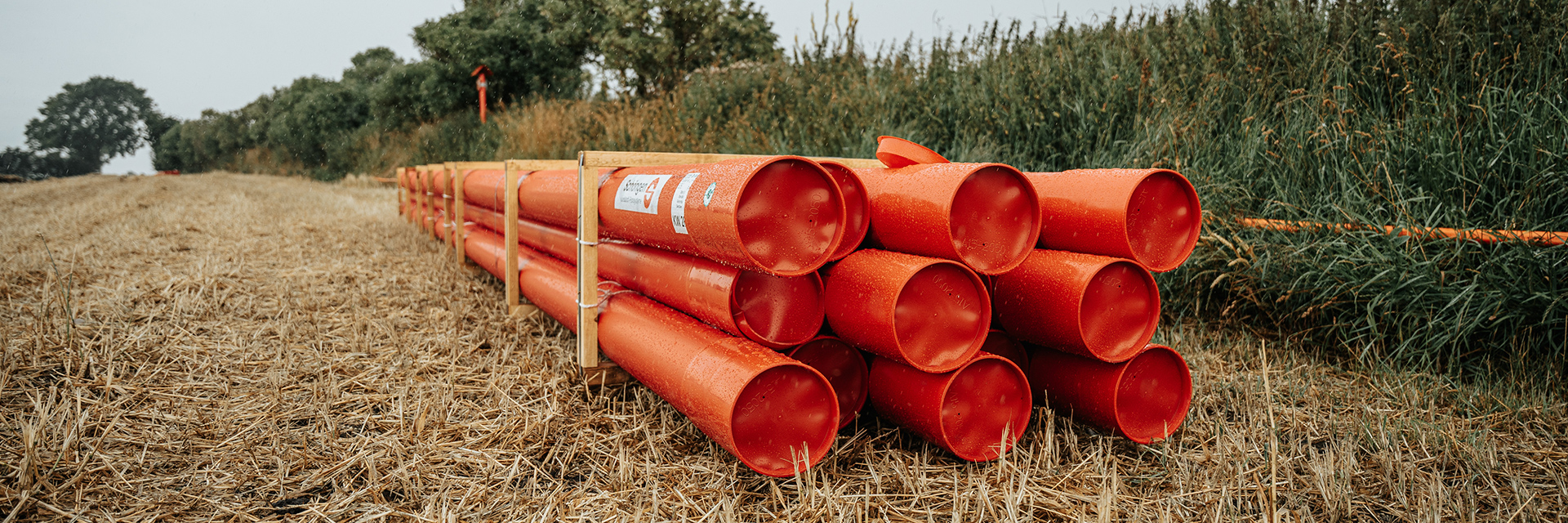 Vorne im Bild liegen mehrere orangefarbene Rohre in zwei Reihen auf Holzböcken; rechts am Rand wächst hohes Schilf, links verläuft ein Stoppelfeld mit einem einzelnen Baum im Hintergrund.