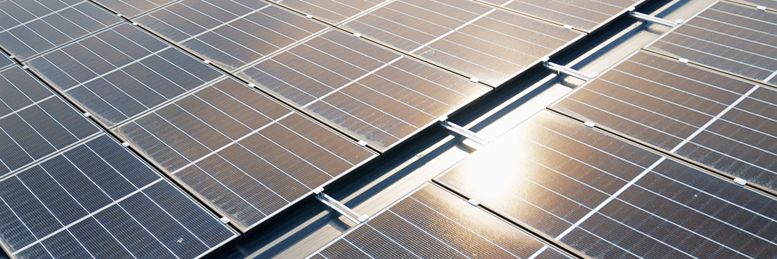 Nahaufnahme von Solarpanelen mit reflektierendem Sonnenlicht