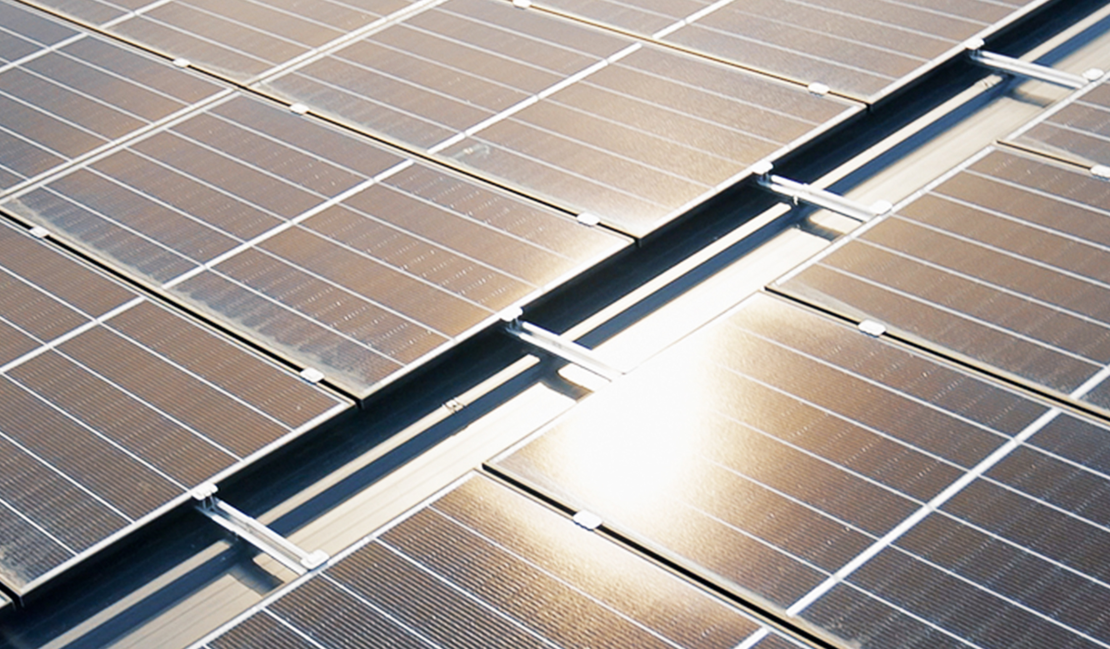 Nahaufnahme von Solarpanelen mit reflektierendem Sonnenlicht